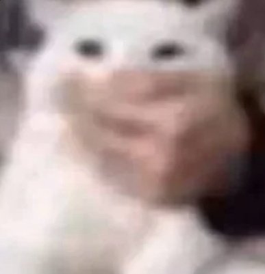 pepsy⚢ tweet media