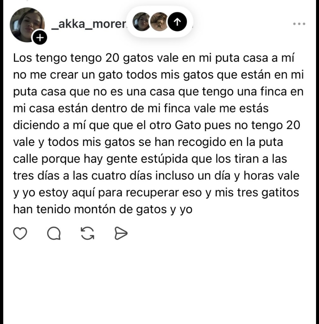 Neinei_rescue's tweet photo. LISTA NEGRA DE ADOPCIONES! ⚠️ 

Por favor, a todas las asociaciones y protectoras. NO DAR EN ADOPCIÓN A NINGÚN ANIMAL A ESTA PERSONA!! https://t.co/oOIMFH6LxK