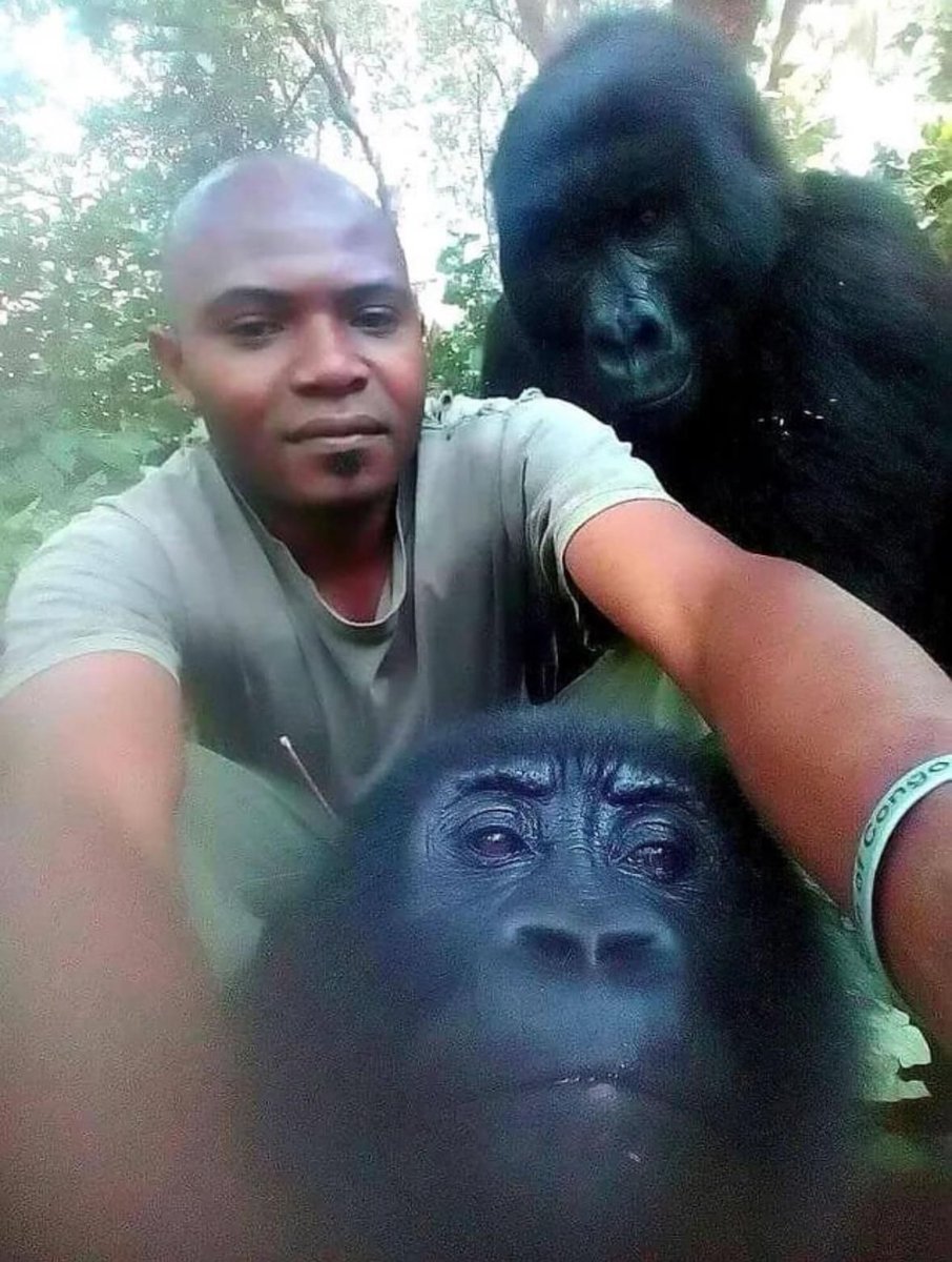 Nature is Amazing ☘️ tweet media