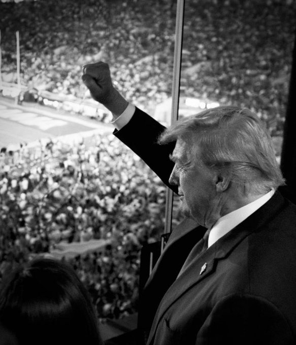 Vivid.🇮🇱 tweet media