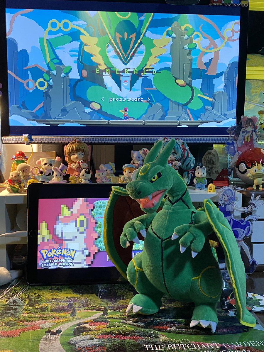 Ninyi 🦷 tweet media