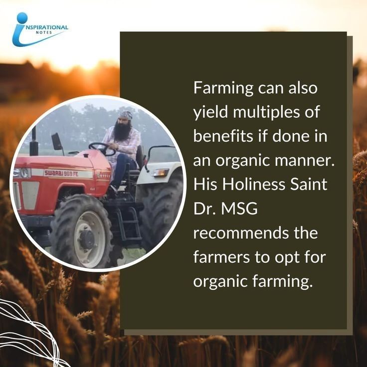 Jaiya_Thakur07's tweet image. Farming is becoming more advanced, but #OrganicFarming is still very useful. It keeps the soil healthy and reduces costs. Saint Gurmeet Ram Rahim Ji advises farmers to be patient and work smart, as it gives better results over time.