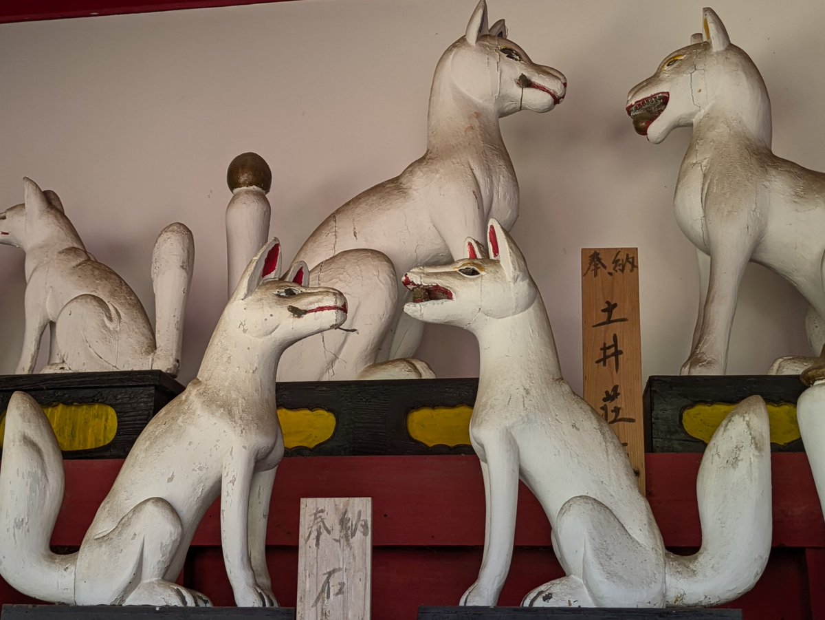 狐小路ヌヱ tweet media