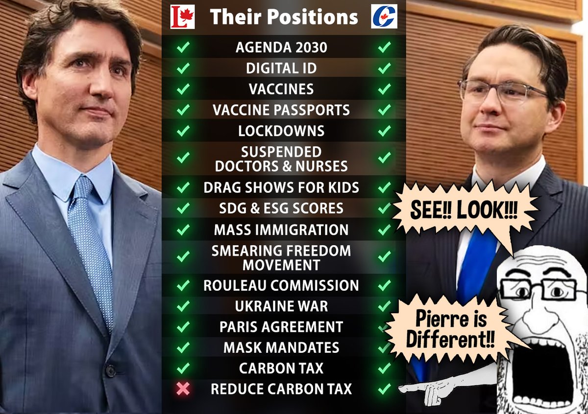 Thundercat 🇨🇦🇷🇺 tweet media