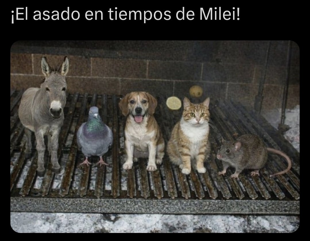 Halal Trump tweet media