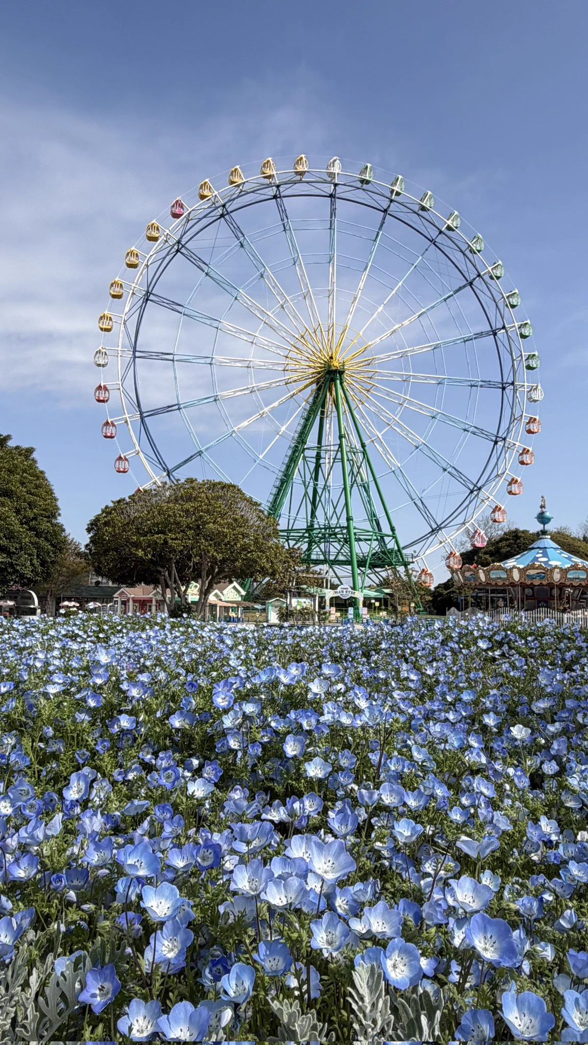 国営ひたち海浜公園プレジャーガーデン【公式】 (@pleple_garden) / X