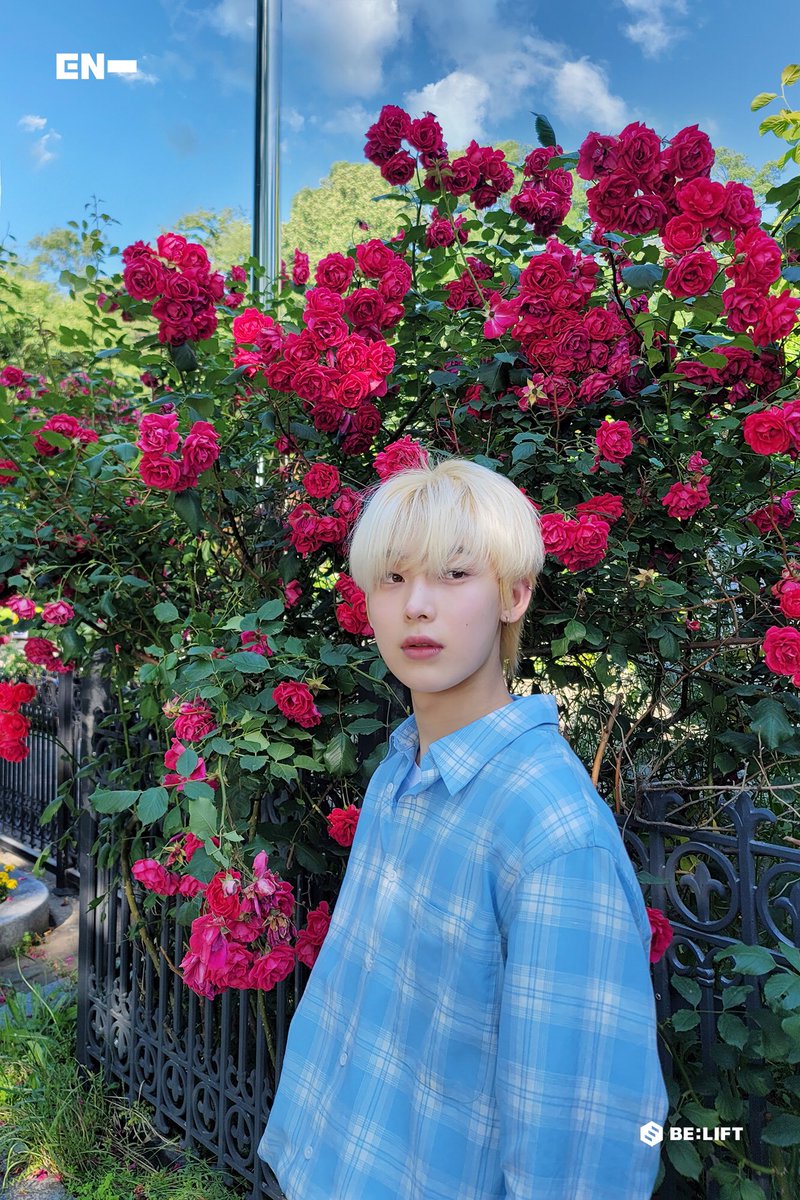 도마도 tweet media