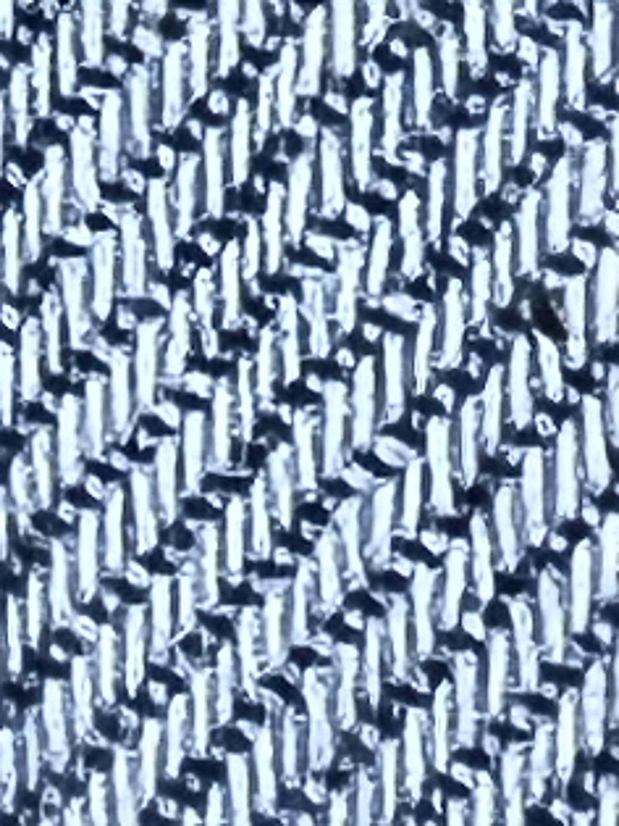 Darkstar tweet media