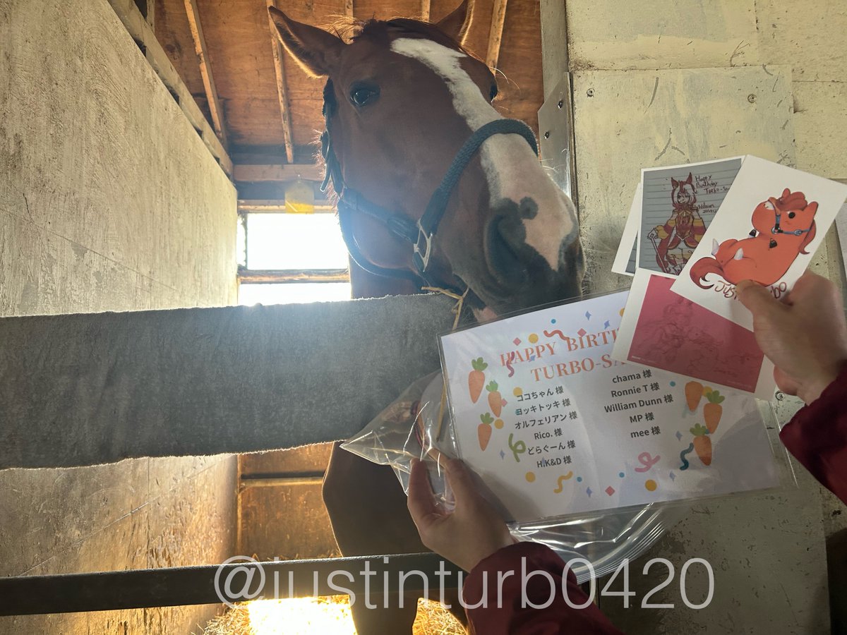 GOGOターボさん（ジャスティンターボ） tweet media