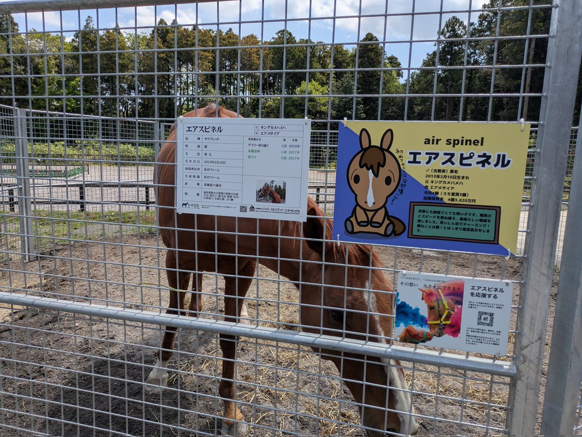 おうまさんいっぱい
