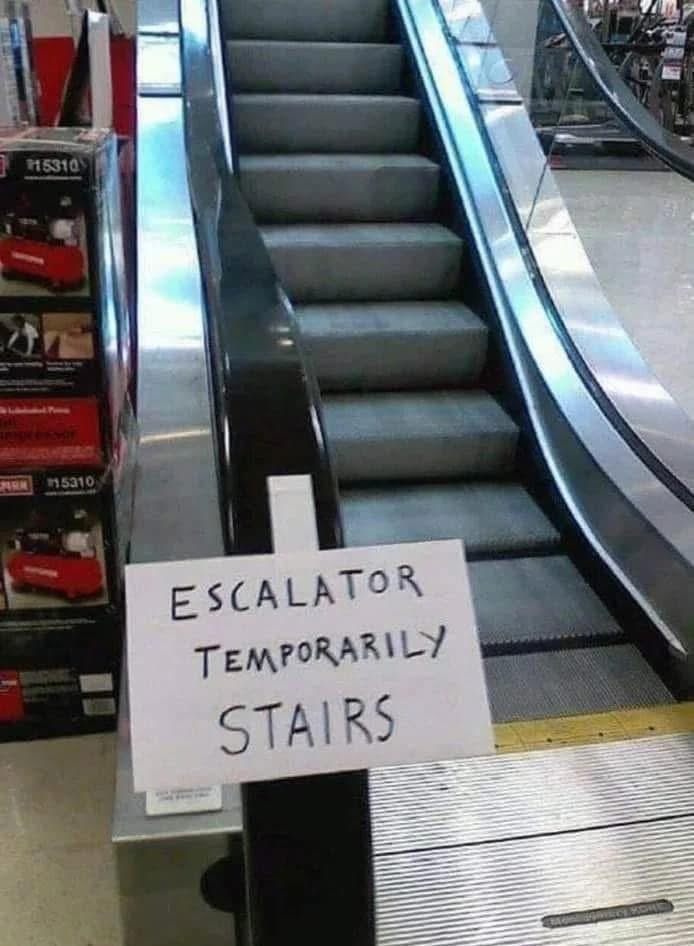 NO CONTEXT HUMANS tweet media