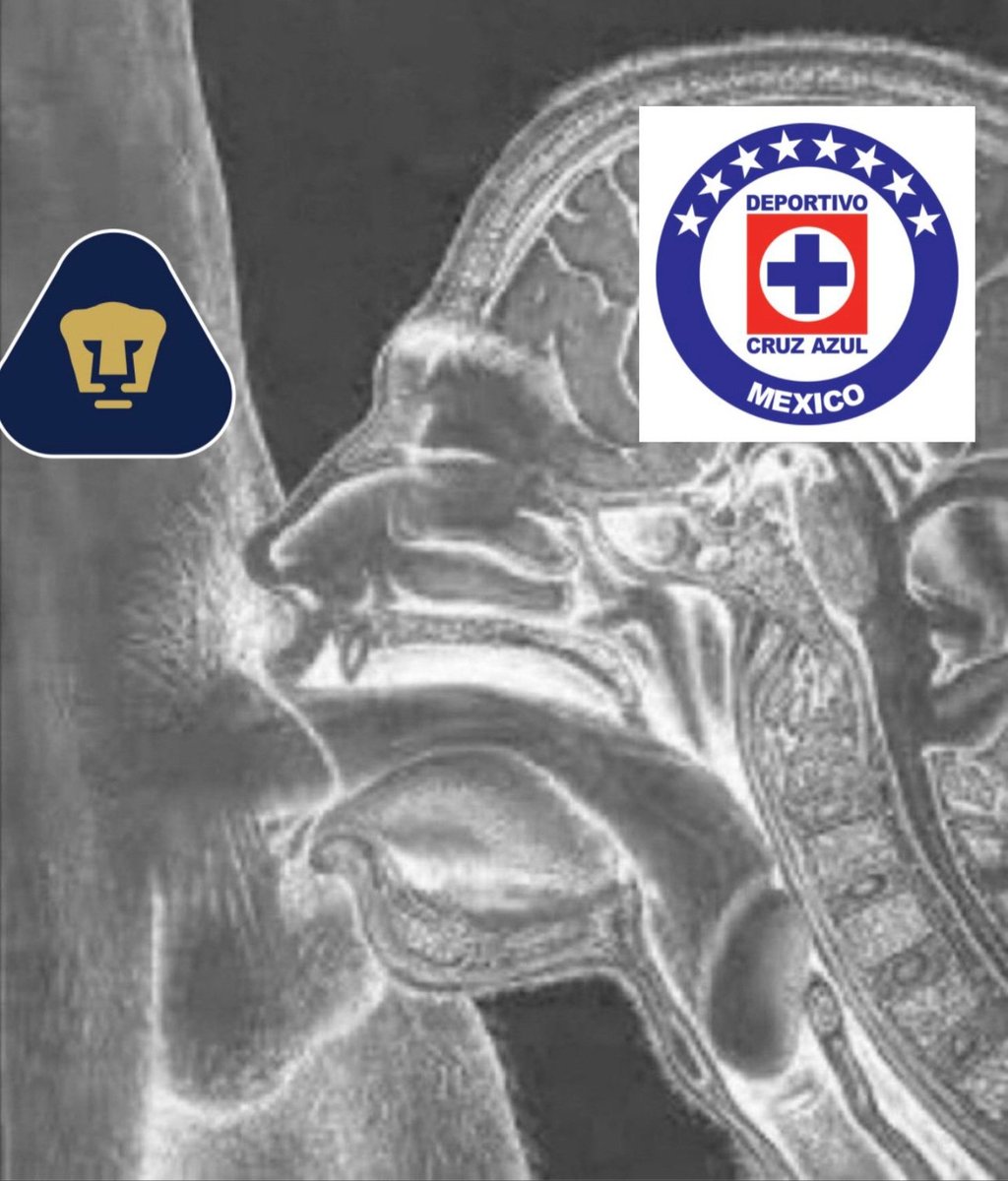 Pumacaco 🇧🇷 tweet media