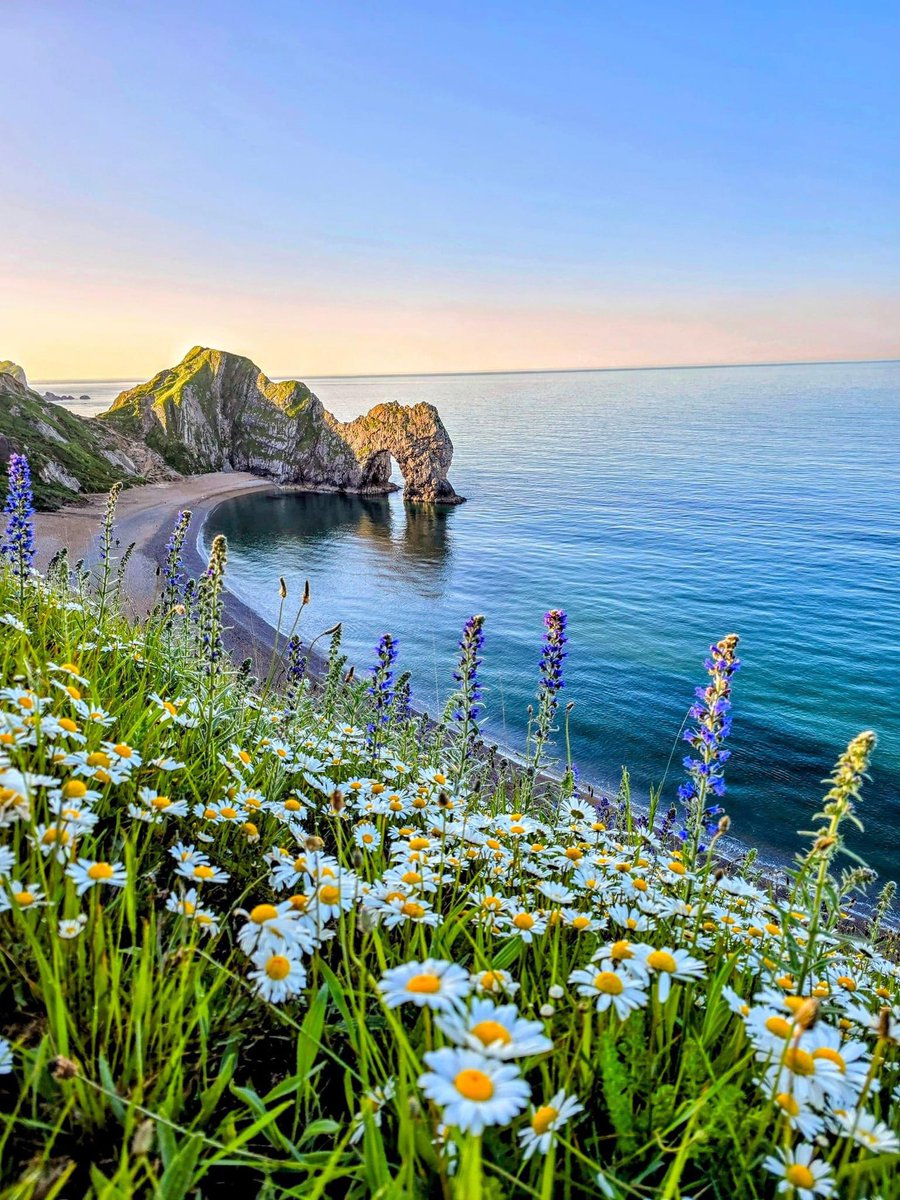 purenature_1's tweet photo. Durdle Door with flowers 🌺🌸🌼 https://t.co/GBbczyTgEI