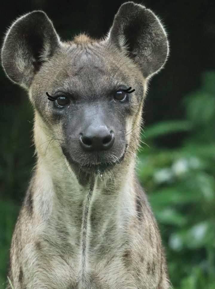 Khamoo.andthegang tweet media