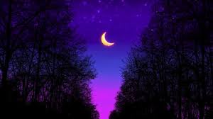 xXMidniteXx's tweet photo. Today felt like it would never end. I need soothing music and a blanket. Have fun tonight, everyone🌙✨💜🦋 https://t.co/RCJ3pJ7lOH