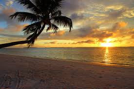 ✴ أبو سولاف ✴ tweet media