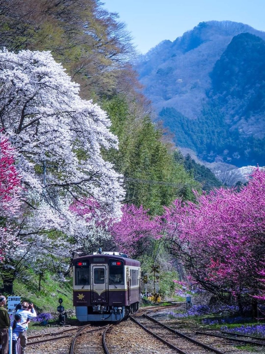 vikasknirmal's tweet image. The more you praise and celebrate your life, the more there is in life to celebrate 
💕#HappySunday Everyone 💕