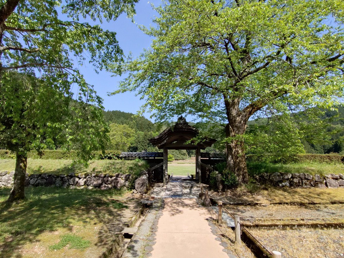 Rebel1100DCT's tweet photo. 福井県大野市
伊藤順和堂　いもきんつば
おすすめです！

大野城
朝倉氏遺跡 https://t.co/jfAkfnzXS6