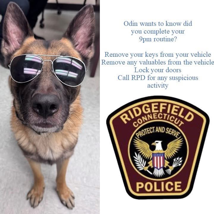 RidgefieldCTPD's tweet photo. It’s 9pm

Town of Ridgefield, CT
Ridgefield CT Police Department
#9PMRoutine https://t.co/tyAi5MEZhR