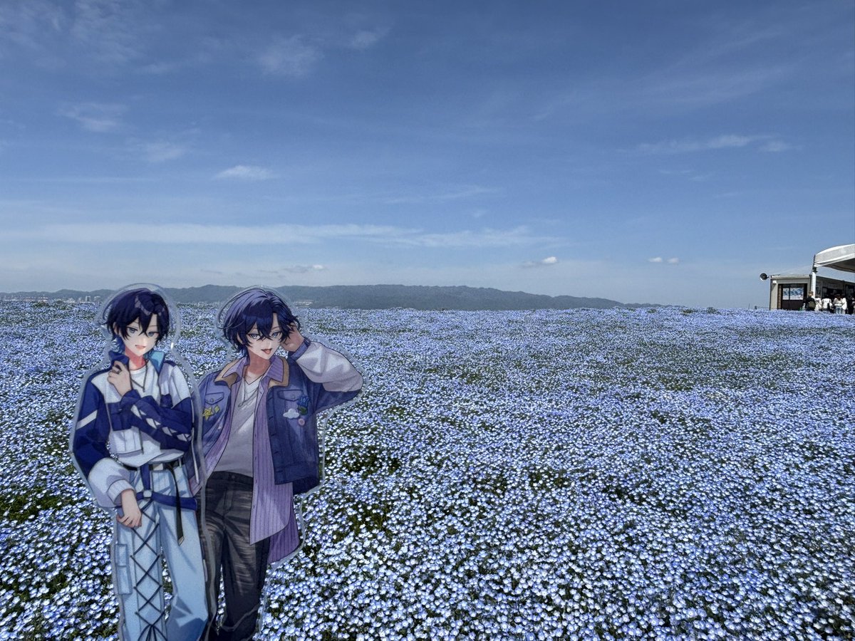 あおいくん tweet media