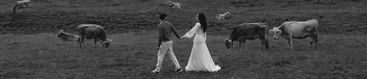 Veloria 🌊 tweet media