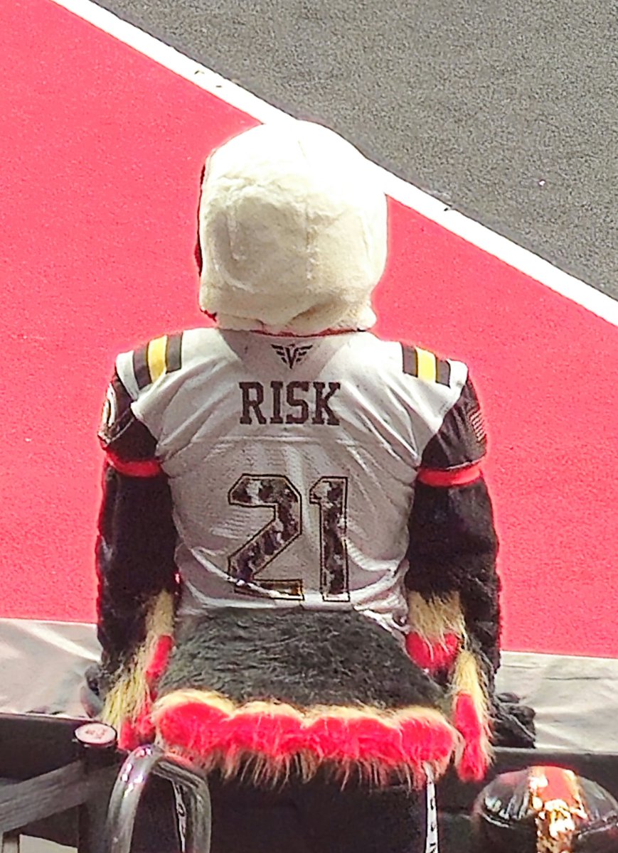 carleygarner's tweet image. I can't help but feel like I know the #Knighthawk mascot personally. #Risk