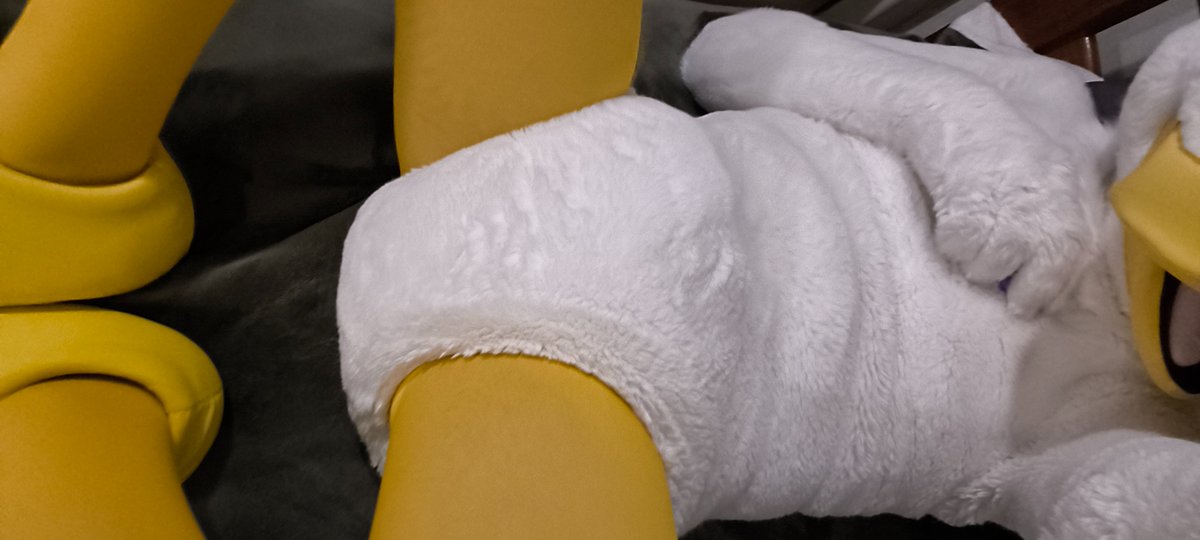 DonlAD🦆 tweet media