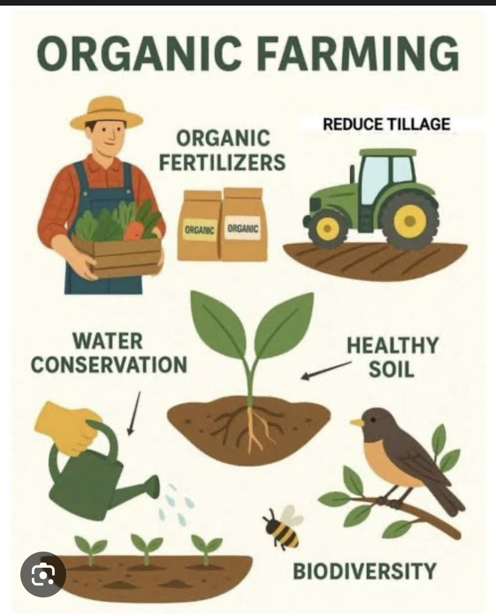AnamikaInsan28's tweet photo. Modern agriculture is embracing smarter, greener practices. Saint Gurmeet Ram Rahim Ji says #OrganicFarming avoids harmful chemicals,conserves water, and promotes a healthier environment. It’s a sustainable path that benefits both farmers and future generations. https://t.co/peCRkSkmgp