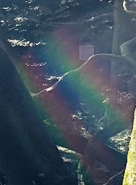 Homura369Happy's tweet photo. 丸池神社⛩様🙏 https://t.co/YcRjdlTAYg