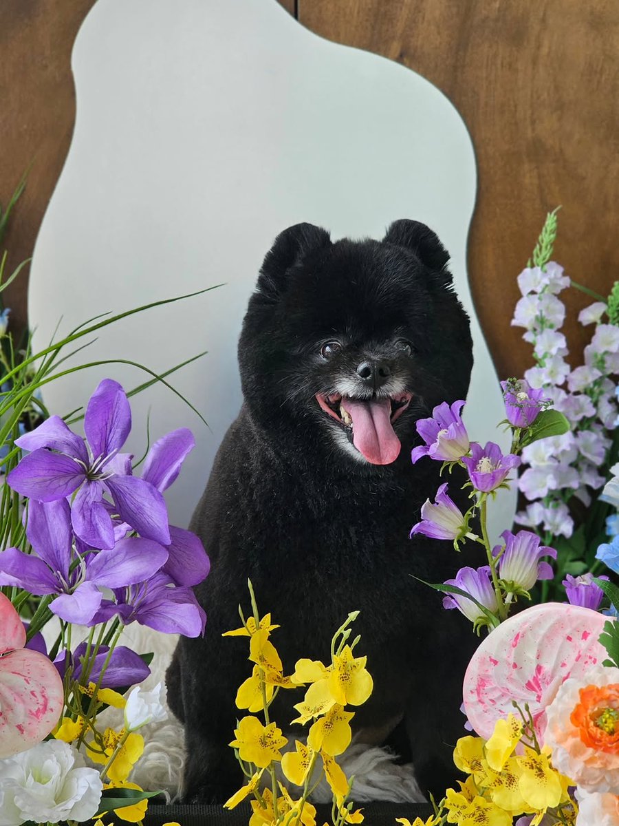 Mint​ Smile​♡ ' YUGYEOM​ ♡♡♡ tweet media