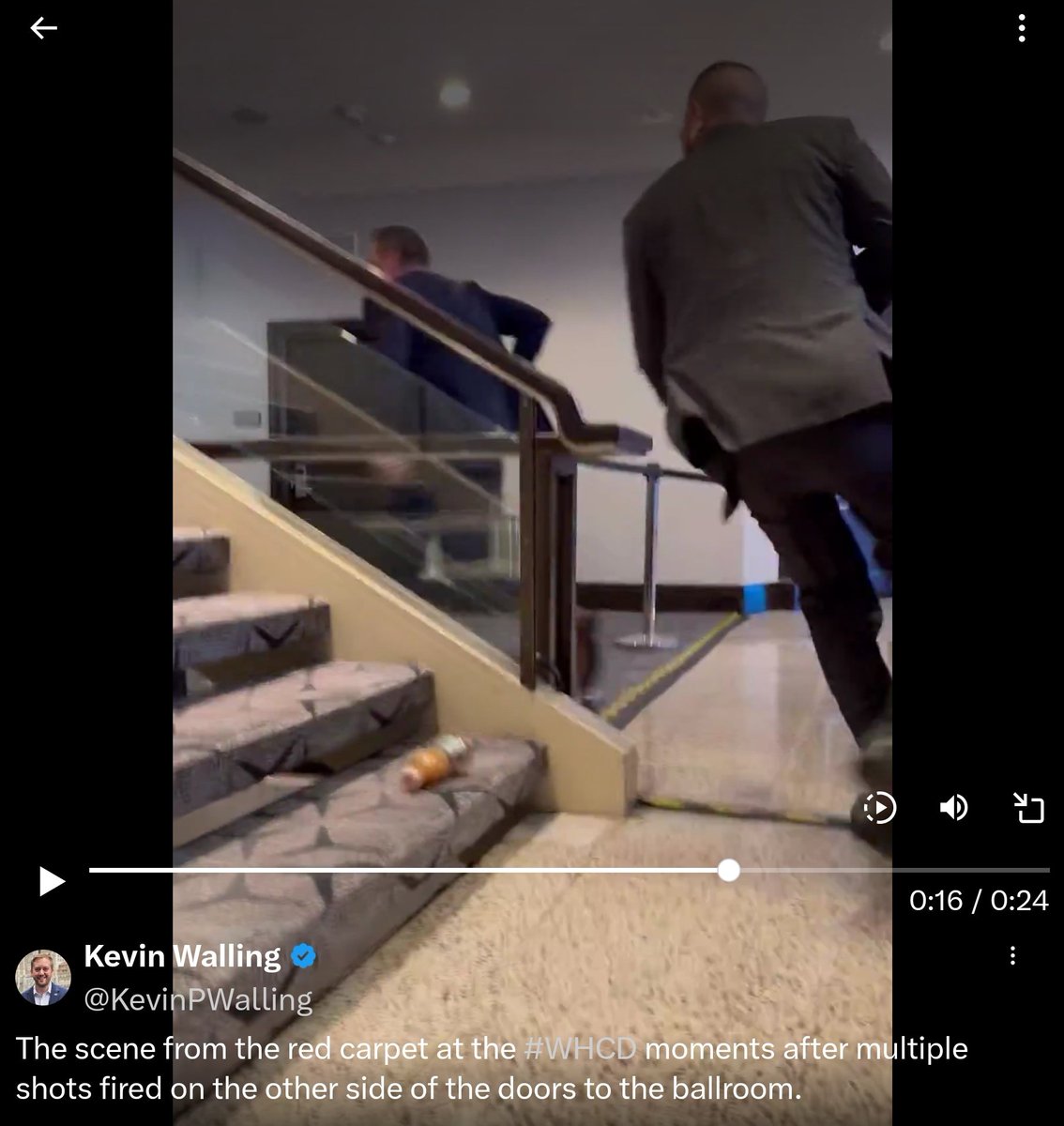 Åsk Dabitch Wäppling tweet media