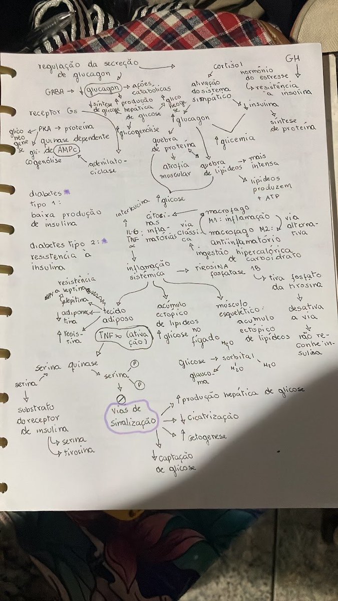 ⊹ ࣪ ˖ ella. tweet media