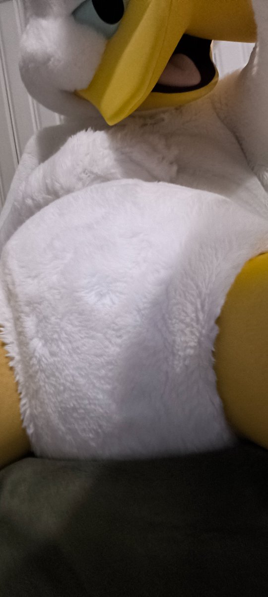 DonlAD🦆 tweet media