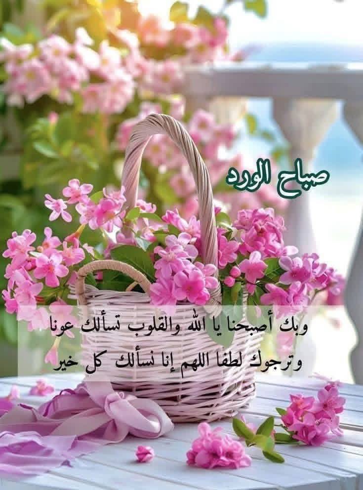 أخبار الشيشان بالعربية tweet media