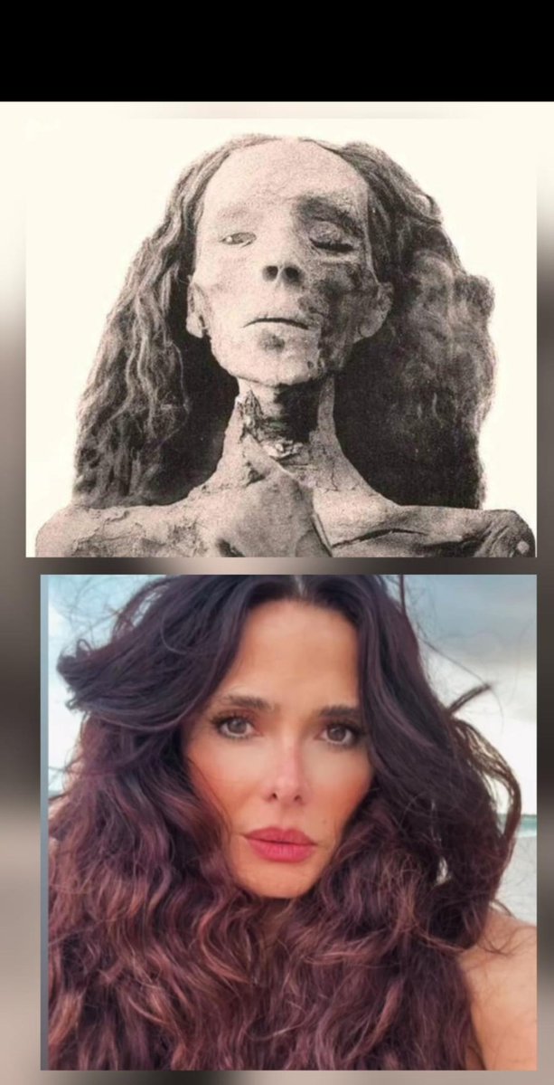 Majolamaja tweet media