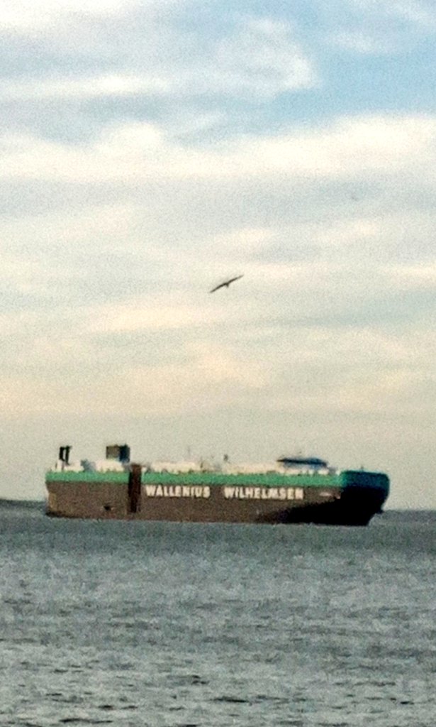 exxxsisst's tweet image. Wallenius Wilhelmsen - Titania #shipping #roro 
#photo #vehiclecarrier