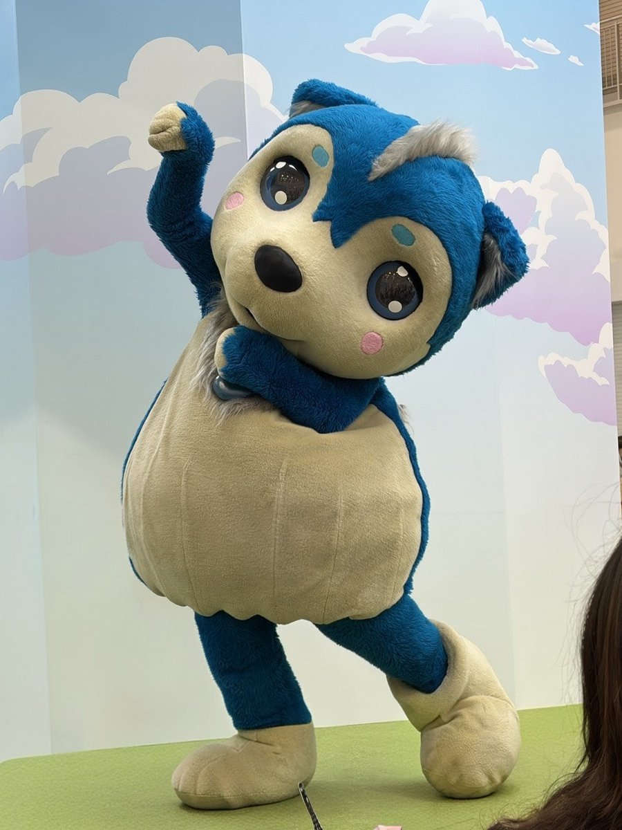 冨田泰代 tweet media