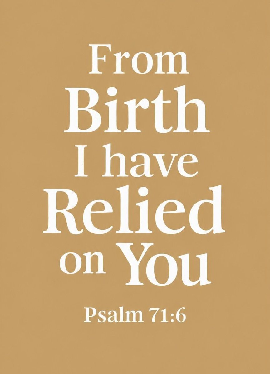 The Bible tweet media