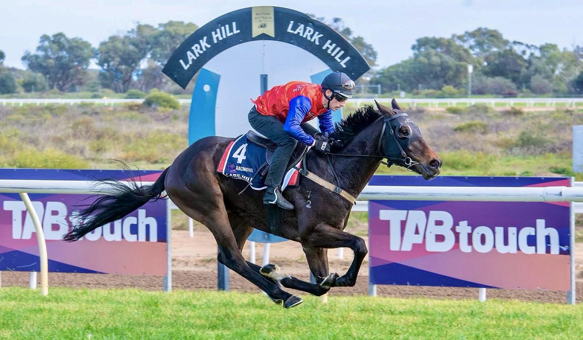 OzRace.com.au tweet media