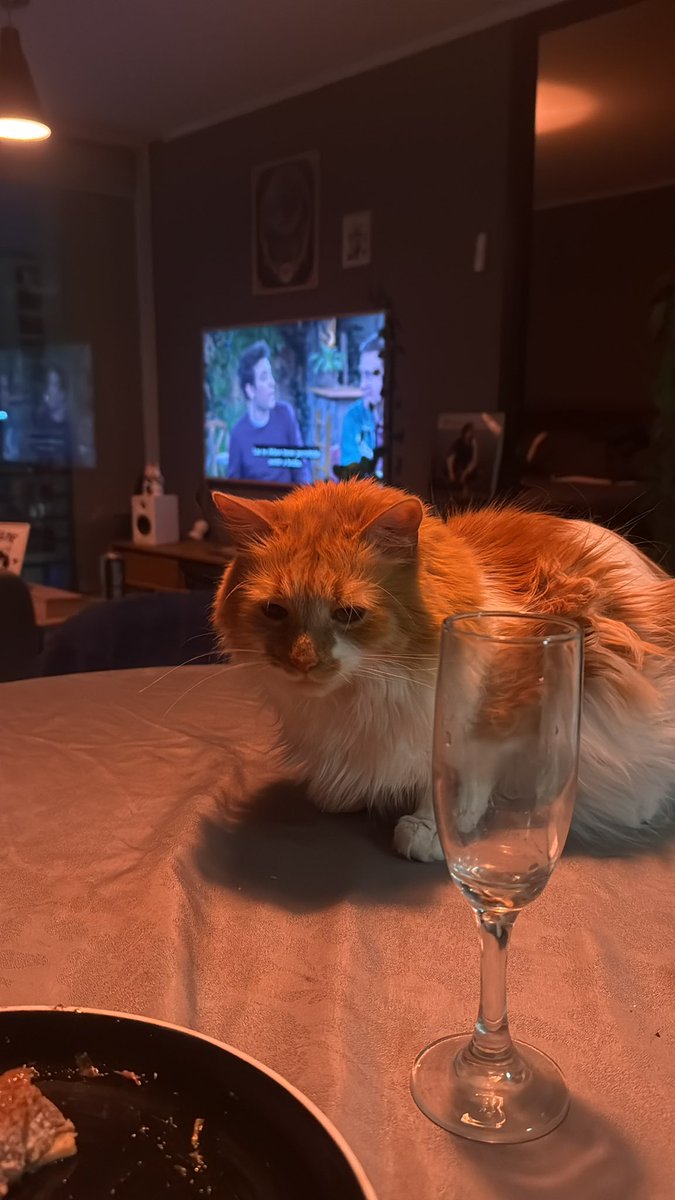 Ricardo Altamirano 🌳 (@richyyie) on Twitter photo 