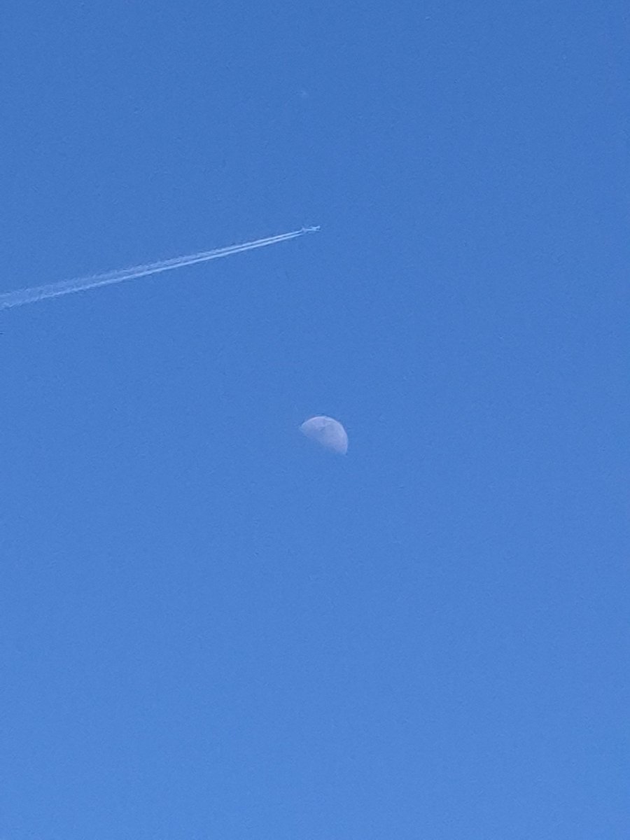 Lil Goofy Ahh tweet media