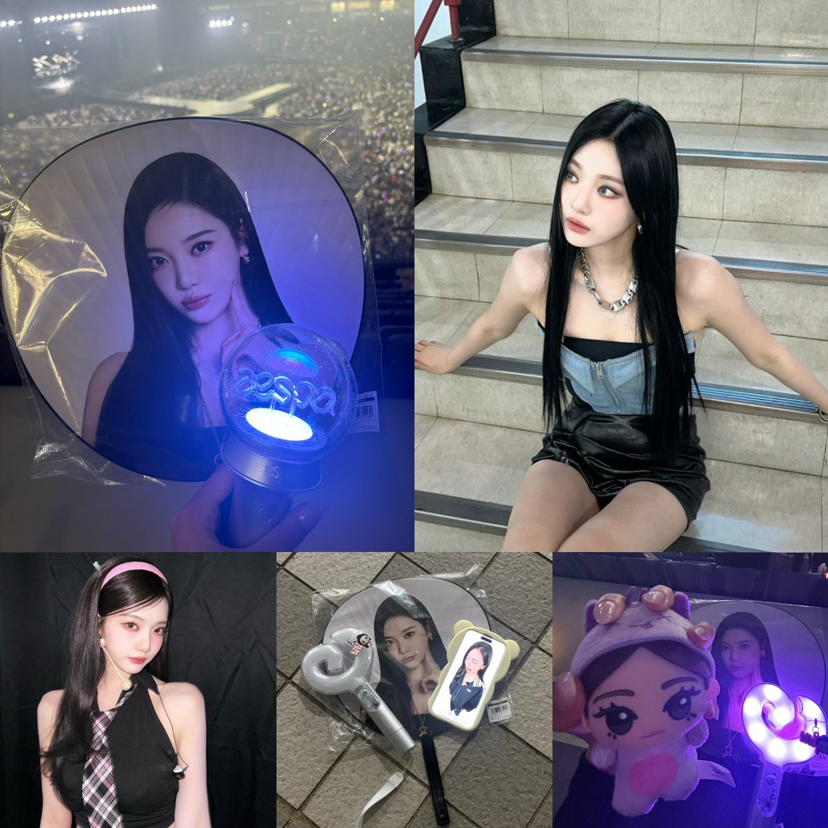 着衣ぐま tweet media