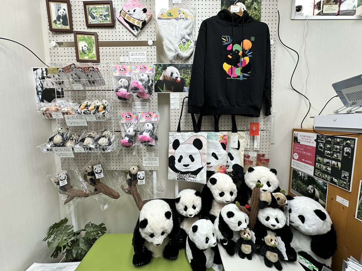 Pandanurse95's tweet photo. 昨日オープンのパンダプラネットさんにお邪魔しました🐼🪐

なかなか手に入らない貴重なお品がたくさん！いるだけで幸せな空間でした💕オープン記念のシャンシャンアンブレラマーカーもゲット🐼スタッフさんとのお話も楽しかったです！ https://t.co/8MdPWshWVB