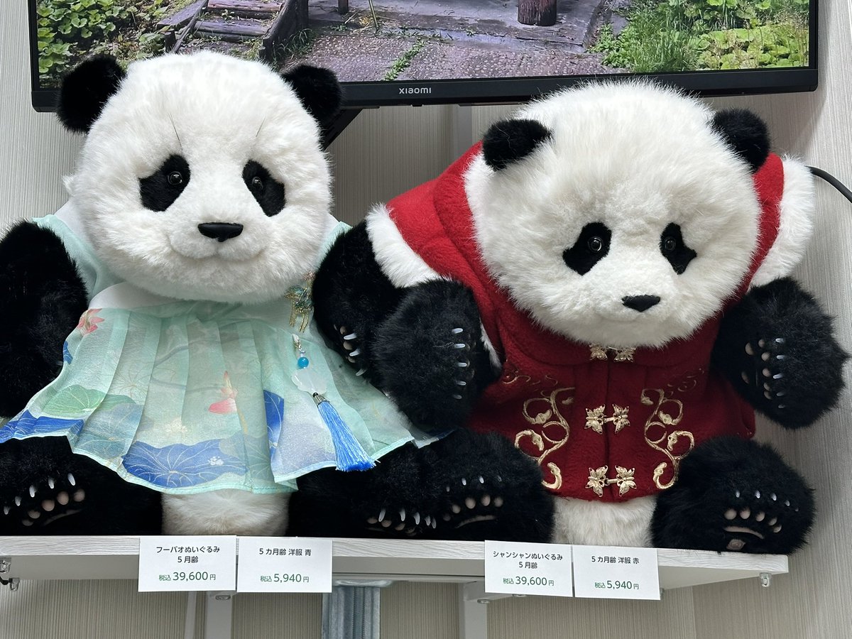 Pandanurse95's tweet photo. 昨日オープンのパンダプラネットさんにお邪魔しました🐼🪐

なかなか手に入らない貴重なお品がたくさん！いるだけで幸せな空間でした💕オープン記念のシャンシャンアンブレラマーカーもゲット🐼スタッフさんとのお話も楽しかったです！ https://t.co/8MdPWshWVB