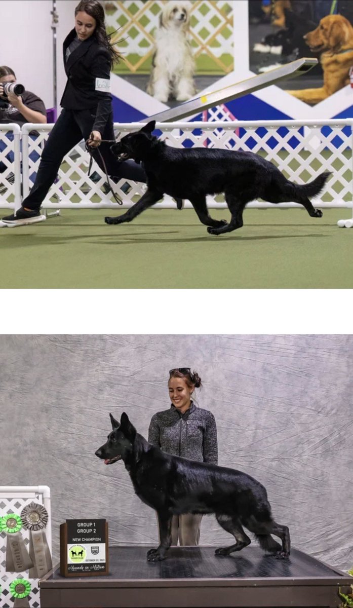 Paul Mueller tweet media