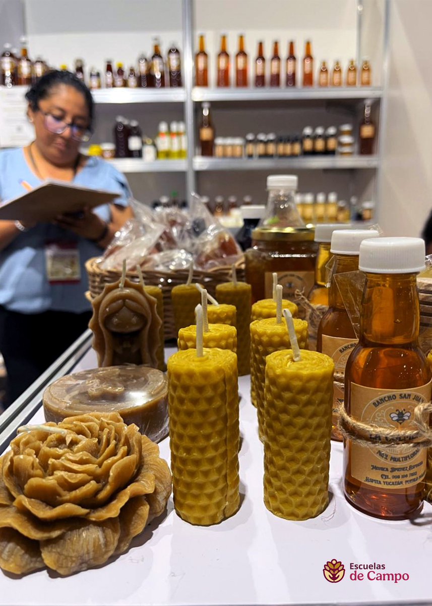 Escuelas de Campo tweet media