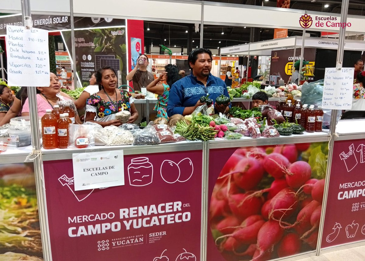 Escuelas de Campo tweet media