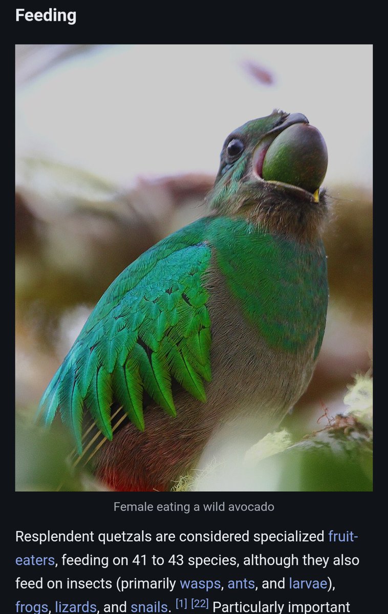 Robert Francis tweet media