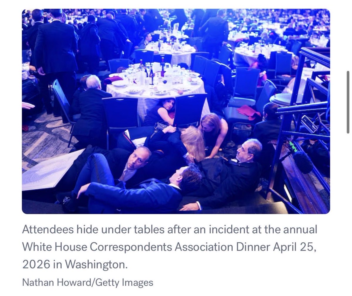 Sarah Yáñez-Richards tweet media