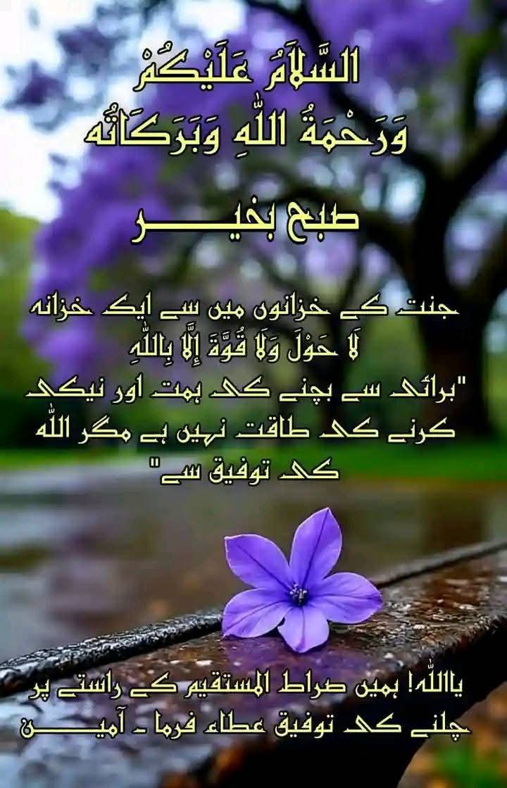اک درویش tweet media